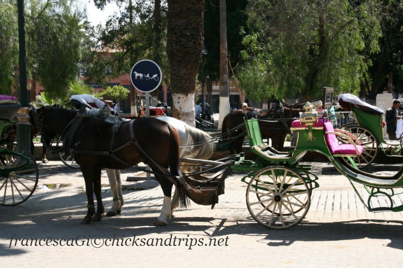 Carrozza a Marrakech