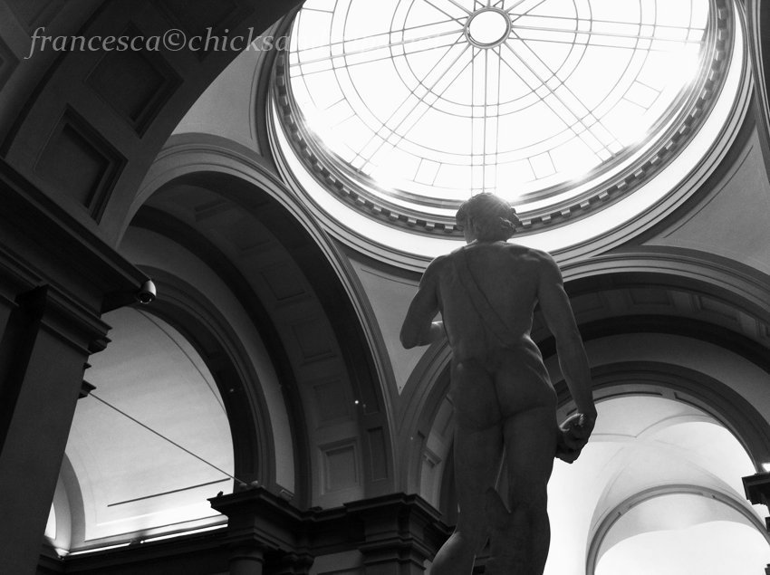 David Michelangelo Firenze Accademia