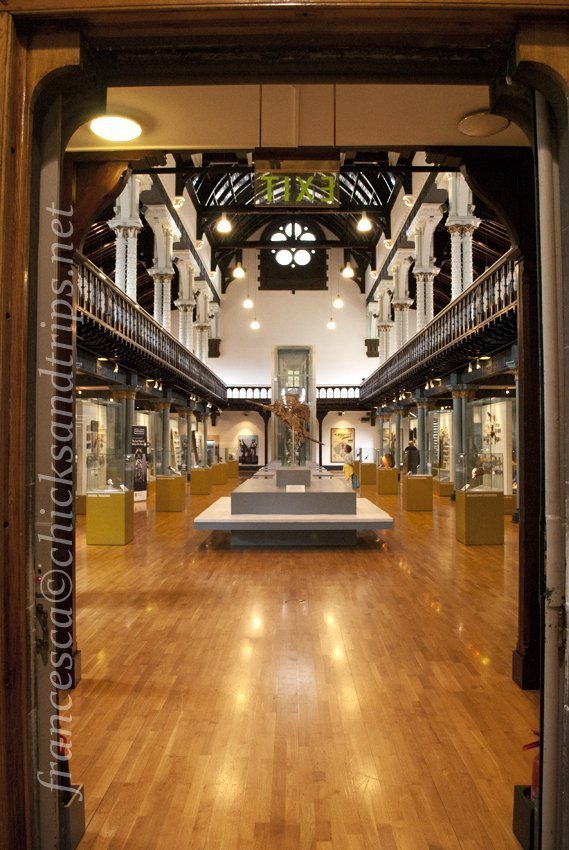 Glasgow Università Museo SCozia