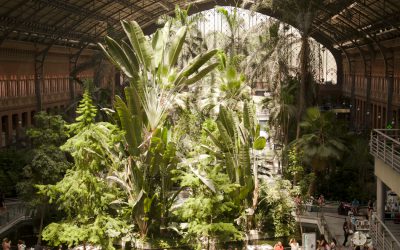 Come Risparmiare In Un Viaggio A Madrid