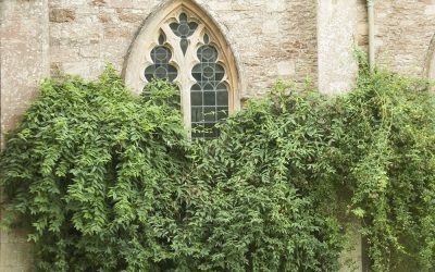 Lacock e i film di Harry Potter: guida completa a tutte le location