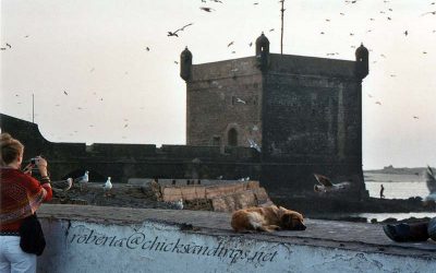 Cosa Vedere A Essaouira, Marocco, la città “ben disegnata”