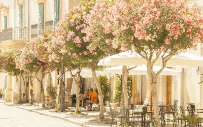 Visita A Scicli, Sicilia: Il Salotto Barocco Dei Monti Iblei