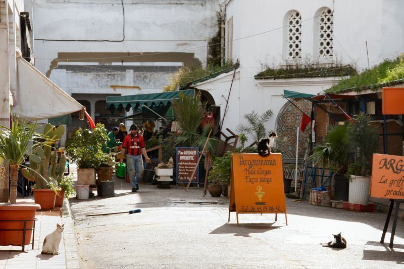 itinerario città imperiali marocco