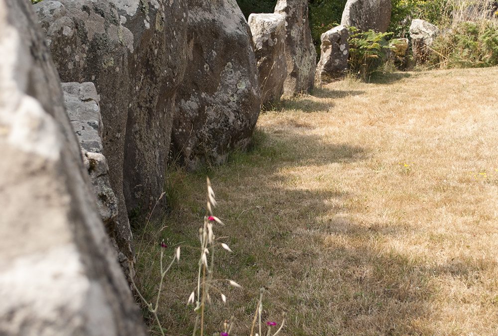 Visitare Carnac E I Suoi Allineamenti Neolitici