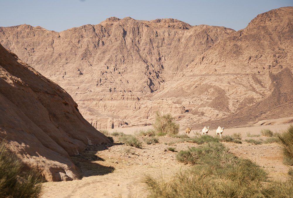 giordania on the road