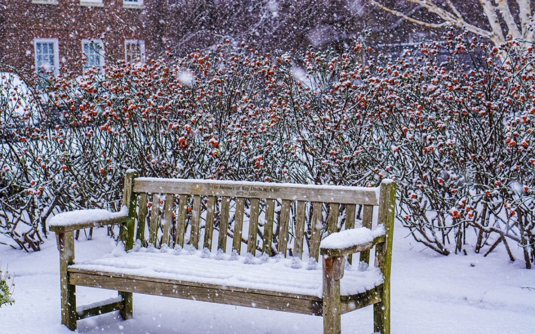 Cosa fare A Londra In Inverno: 11 Idee Very Cool
