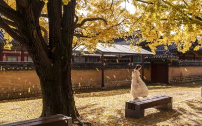 Cosa Fare A Seoul: Le 7 Migliori Cose Da Non Perdere