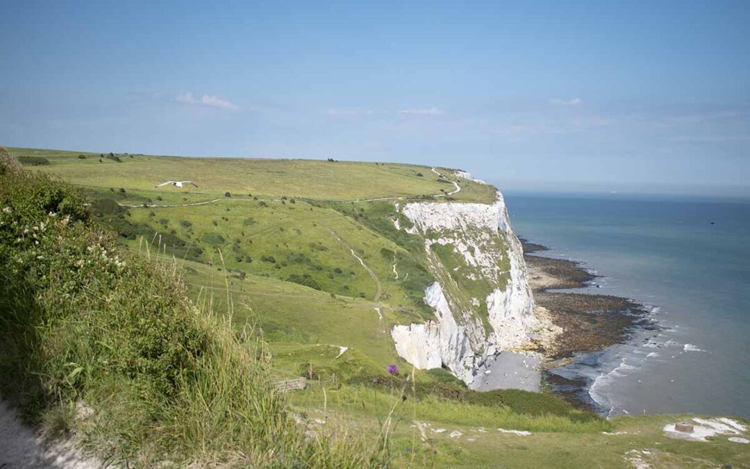 Visita Alle Scogliere di Dover: Gita Di Un Giorno Da Londra