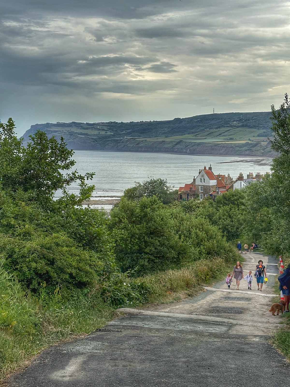 strada che porta al villaggio robin hood's bay