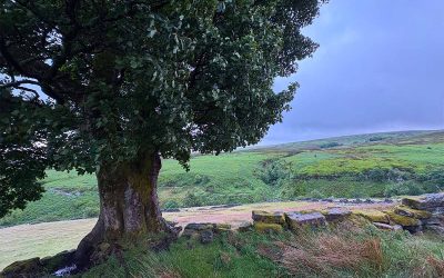 Visita Ad Haworth E Alla Brughiera Delle Sorelle Brontë – Yorkshire