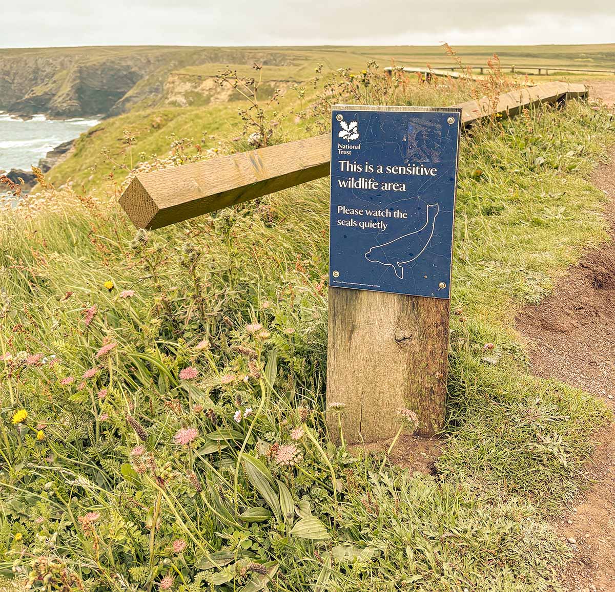 sentiero st agnes head
