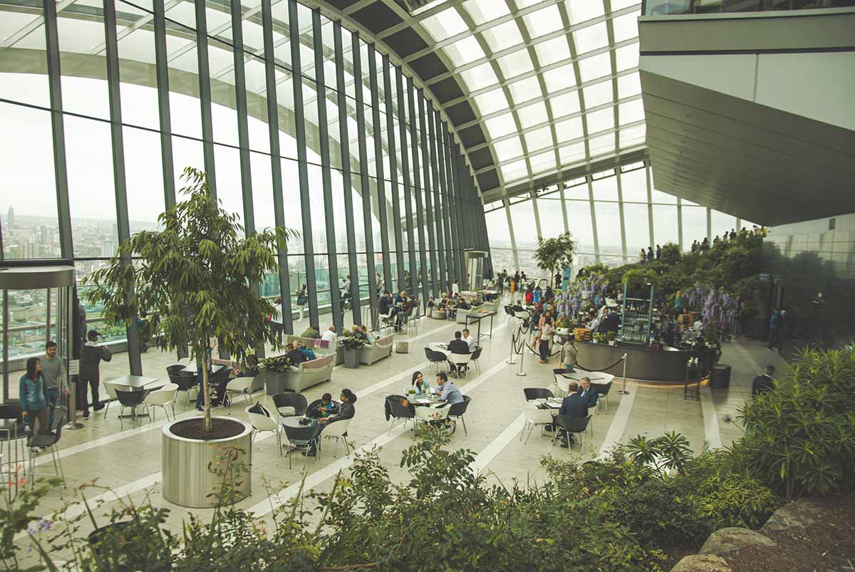 piante e bar nello sky garden londra