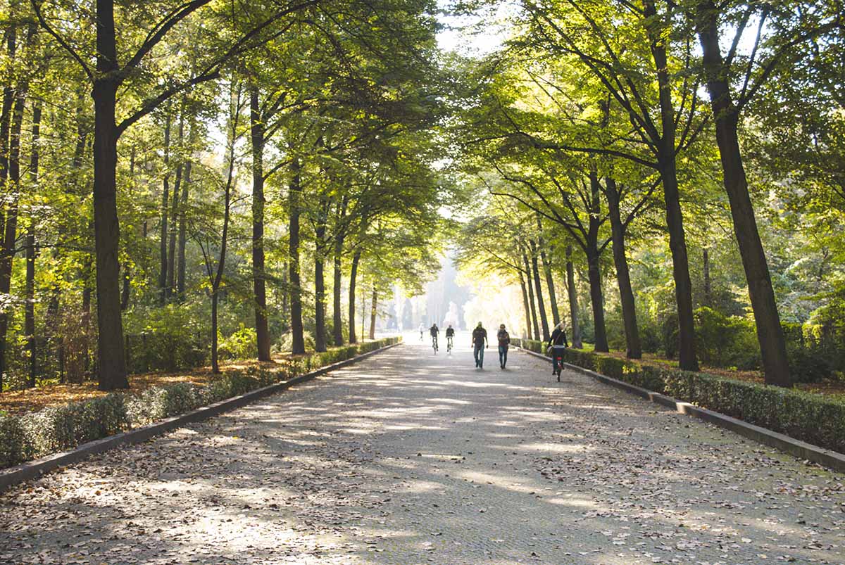 alberi e biciclette nel tiergarten a berlino